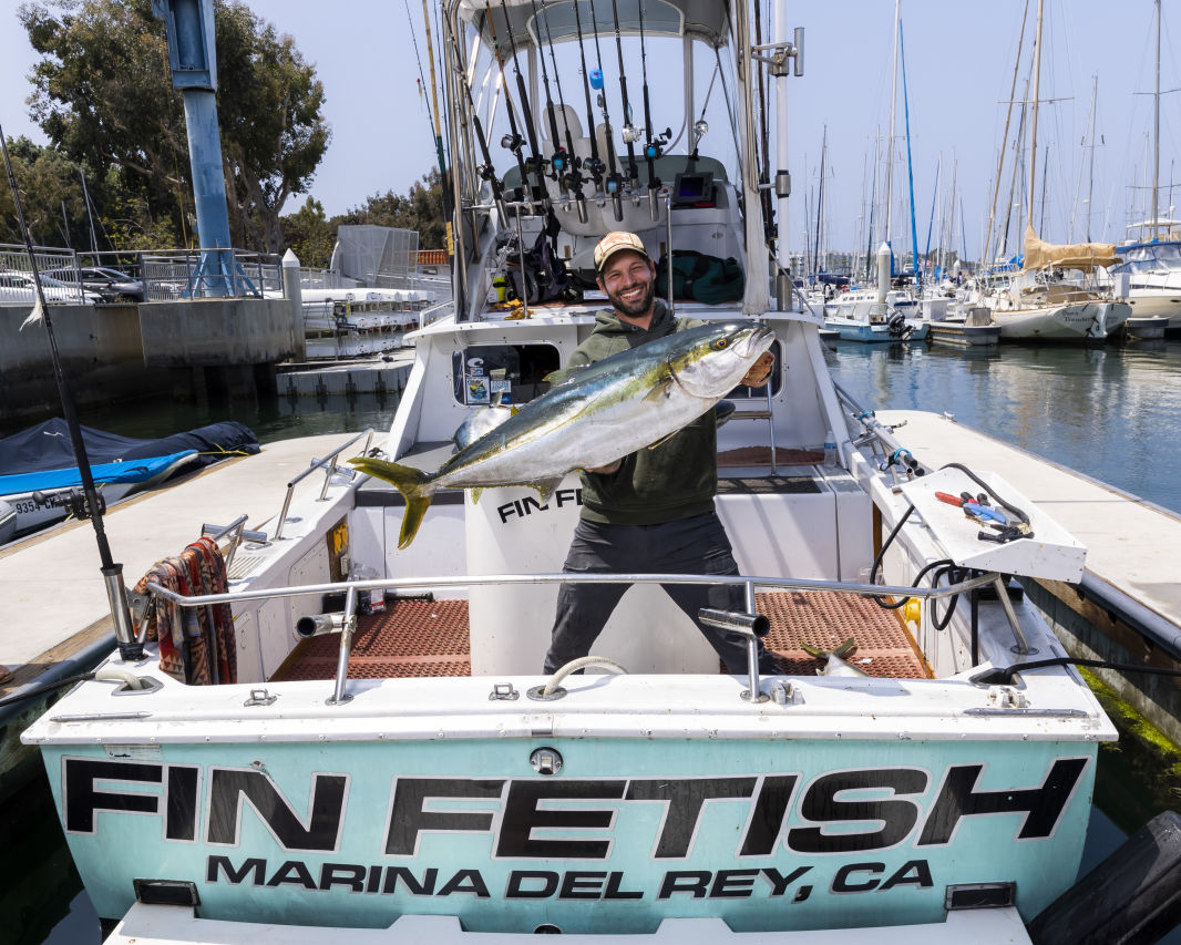 Fin Fetish Yellowtail 5 3 22 Last one